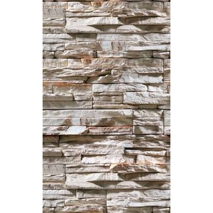 Фиброцементная плита Фаспан Дикий камень №1007 Вертикаль (1200х800х8 мм) купить в Слониме