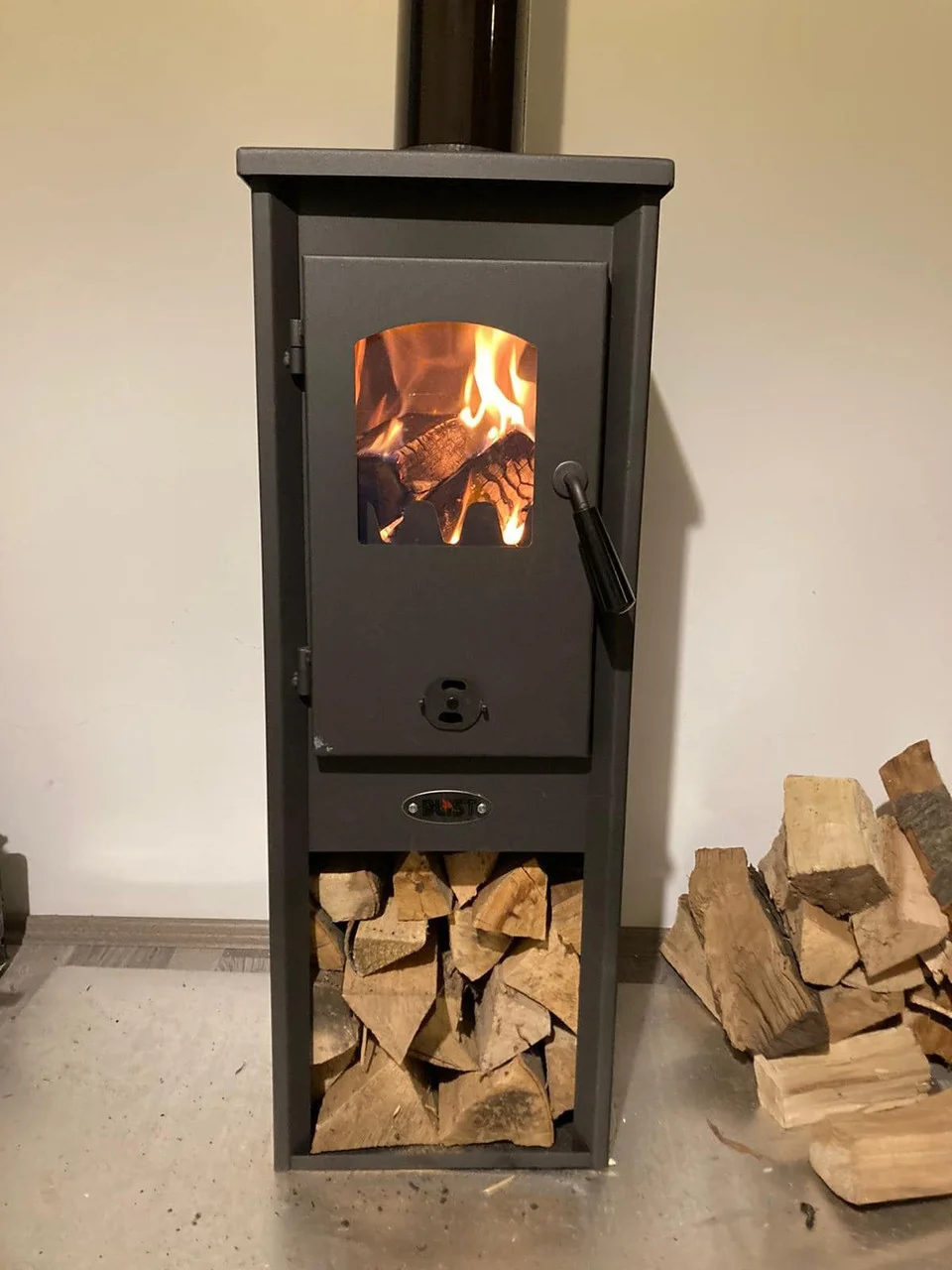 Печь-камин Blist Ekonomik Lux LM N стальная дверца Амазонка бай фото в Слониме