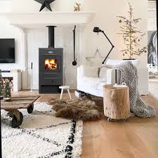 Печь-камин Blist B 2 Амазонка бай фото в Слониме