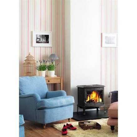 Чугунная печь камин Jotul F100 BP в Слониме