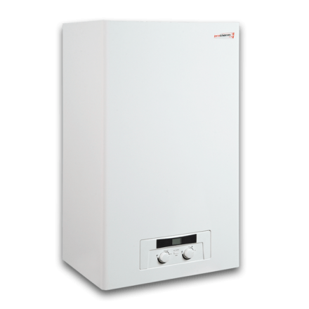 Газовый котел Protherm Рысь 24 Lynx HK 24 в Слониме
