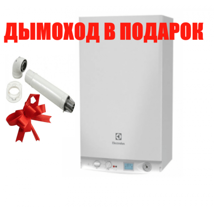 Газовый котел Electrolux GCB 30 Basic Space Duo Fi в Слониме