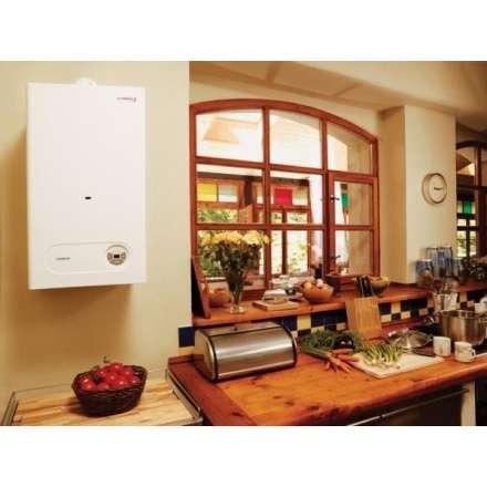 Газовый котел Protherm Тигр 24 KTZ в Слониме