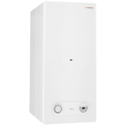 Газовый котел Protherm Тигр 24 KTZ в Слониме