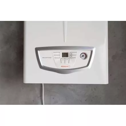 Газовый котел Immergas EOLO MYTHOS DOM 24 1 E в Слониме