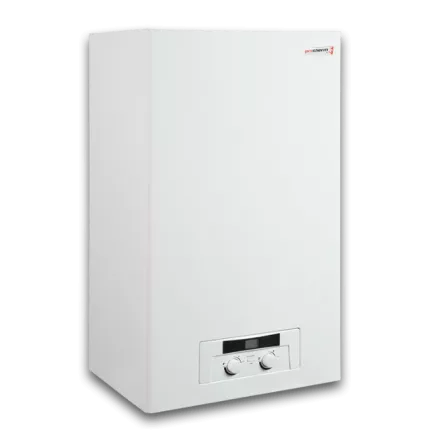 Газовый котел Protherm Рысь 24 Lynx HK 24 в Слониме
